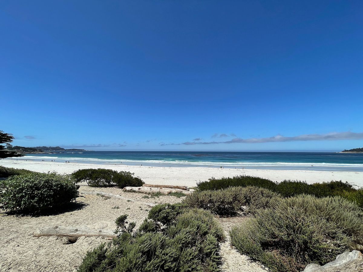 Carmel Bay from Scenic Road