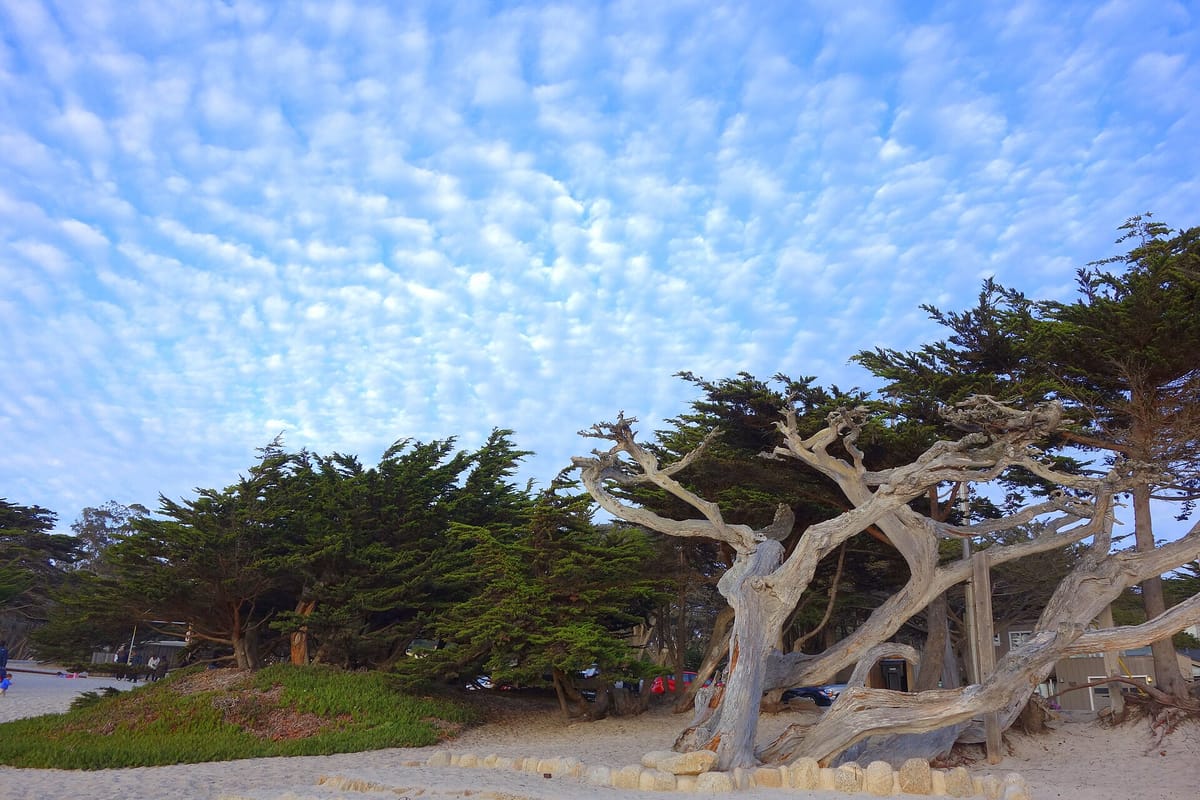 Carmel Beach, California - DSC07172