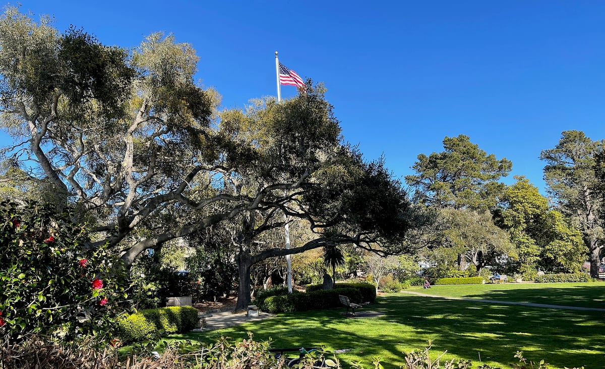 The lawn and oaks of Devendorf Park
