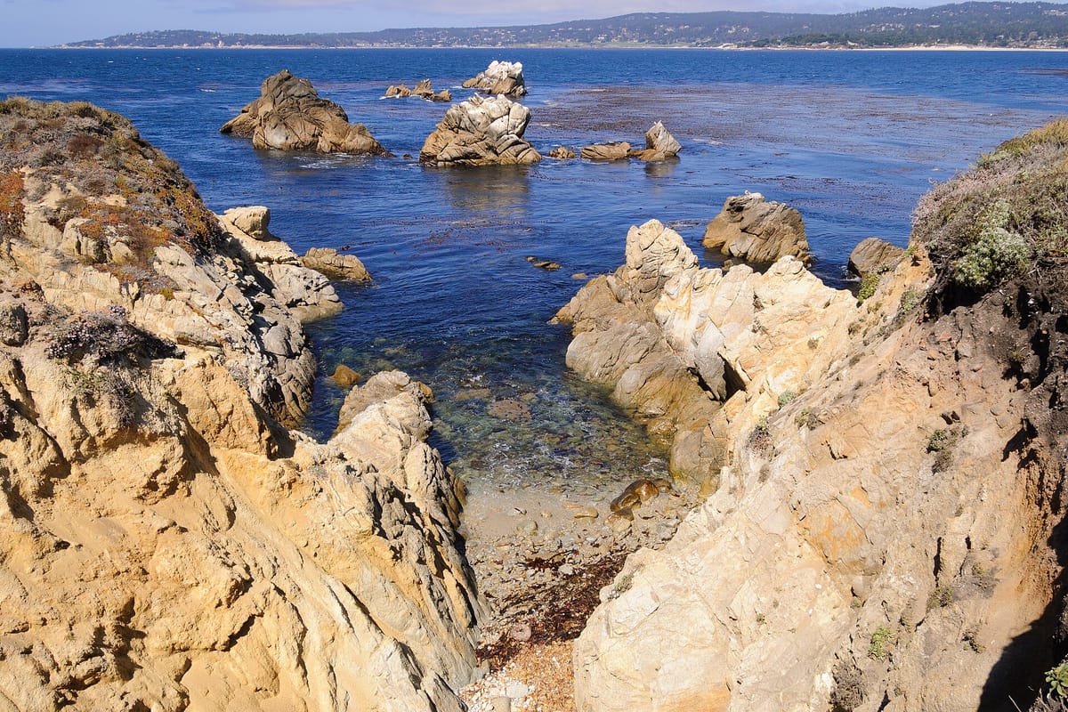 Point Lobos September 2012 003